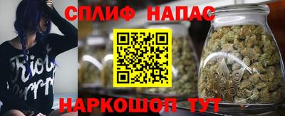 ГАЛЛЮЦИНОГЕННЫЕ ГРИБЫ Новозыбков