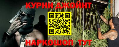 ГАЛЛЮЦИНОГЕННЫЕ ГРИБЫ Новозыбков