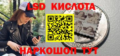 ГАЛЛЮЦИНОГЕННЫЕ ГРИБЫ Новозыбков