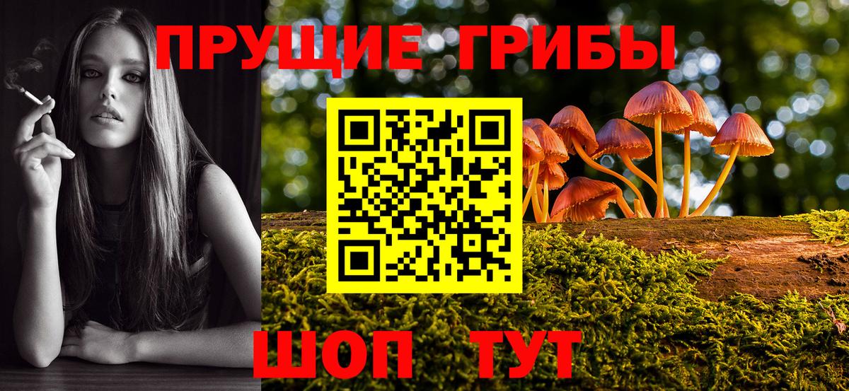 Псилоцибиновые грибы мицелий Ростов Великий
